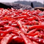 体验澳门威尼斯人娱乐的精彩夜生活与娱乐活动 6nc0sq