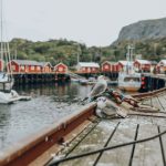 体验大丰收娱乐:与朋友共享欢乐时光的最佳选择 bhjxnib