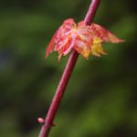 从电影到音乐,帝豪娱乐全方位布局文化产业 kb5aiam