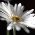 从网路赌博看现代社会的道德困境与价值观挑战 lg9fe