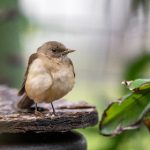 从零开始:老子有钱平台教你如何积累财富 mp0eqy0s1