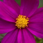 体验卡迪拉娱乐:畅享多样化游戏与精彩活动 o8n7xgd