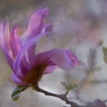 体验ga黄金甲娱乐的魅力,畅享无限乐趣与刺激 pk20i