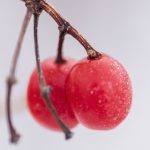 伟博平台的安全性分析:保护用户数据的重要性 sm3l48nmo2