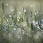 体验QQ188娱乐:让你畅享多样化的游戏选择与活动 tg0fr3i