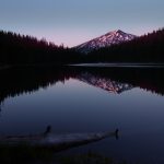 伯爵平台的用户体验:从注册到交易的全流程 x8s008