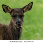 365网络直播:开启全年无休的在线互动新纪元 8t504w4de