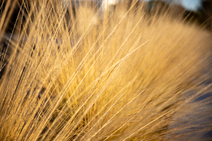 36o足球直播:高清无延迟的绿茵盛宴全视角呈现 36o足球直播:高清无延迟的绿茵盛宴全视角呈现